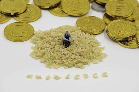 广州期货交易所官网入口